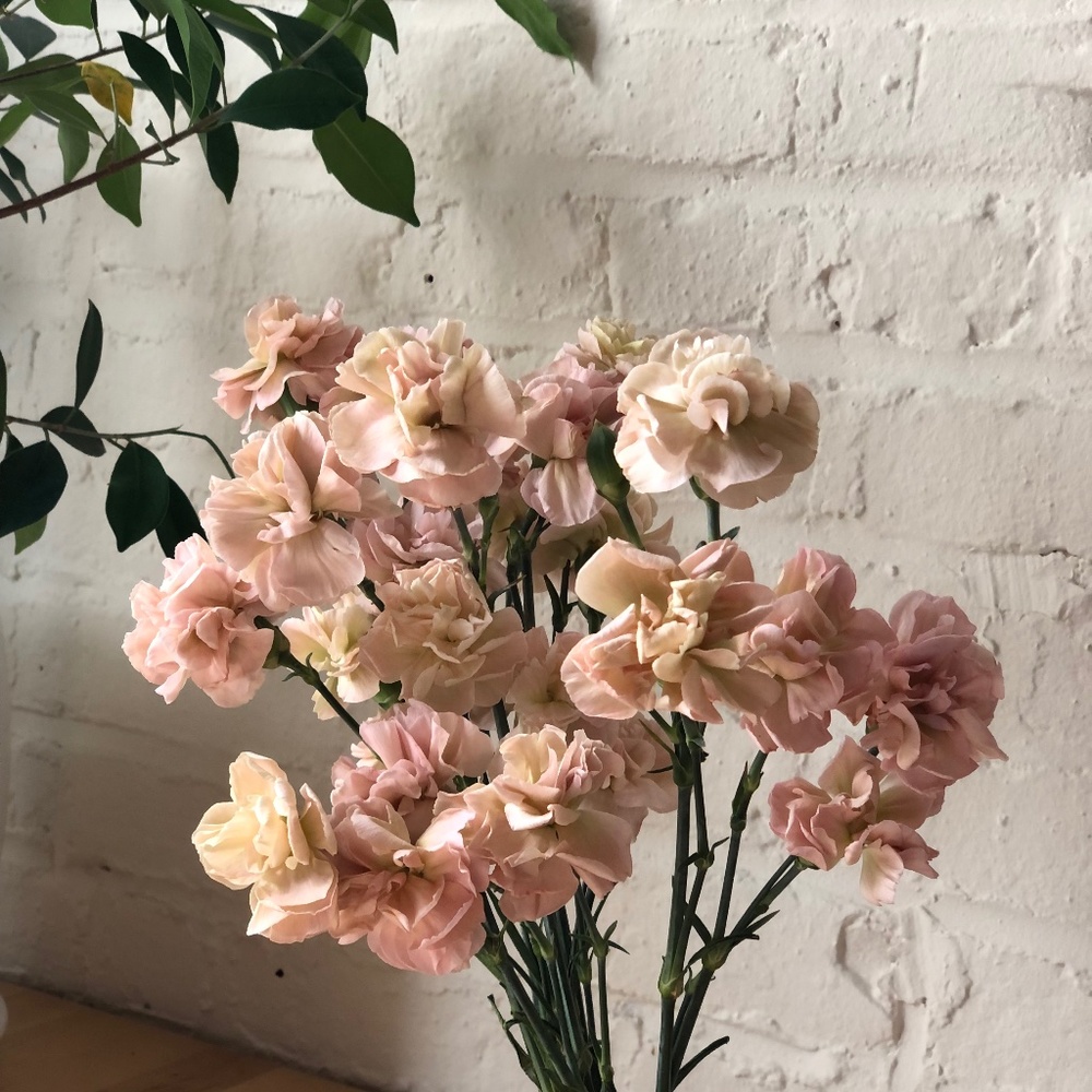 Meet your Posher, Nadine